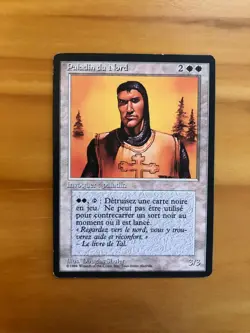 Mtg Fbb Northern Paladin French LP - Image 1