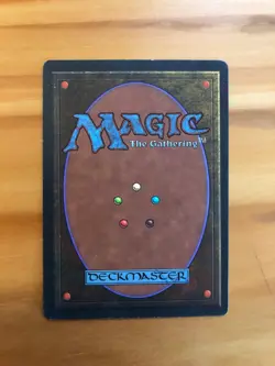 Mtg Fbb Northern Paladin French LP - Image 2