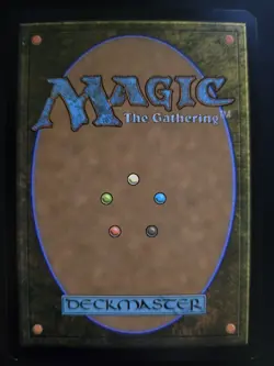 Delina, Wild Mage NM FOIL Adventures in the Forgotten Realms MTG FREE SHIPPING - Image 2