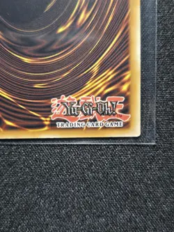 Metamorphosis (Quarter Century Secret Rare) RA04-EN123 1st Edition - Image 3