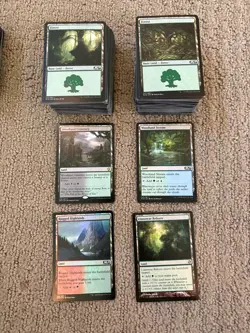 MTG 1,000 Land Bulk Lot, Mixed 200 of Each Color, Dual Color Lands, Common-Rare. - Image 1