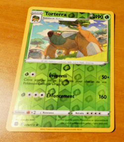 POKEMON STARS ETINCELANTES FRANCAISE CARD REVERSE HOLO CARTE 008/172 FR NM - Image 1