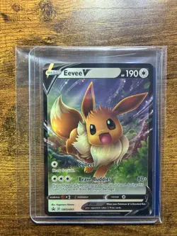 Eevee Evolution Pokemon Card Gift Set - Includes Eevee & Jolteon Ready-to-Gift - Image 4