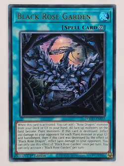 Yu Gi Oh - DOOD-EN055 Black Rose Garden - Ultra Rare - Image 1