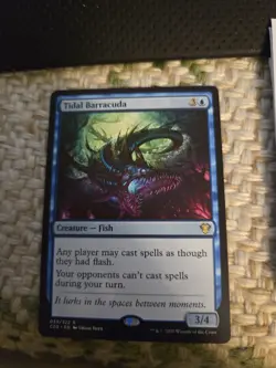 Tidal Barracuda Commander 2020 Regular - Image 1