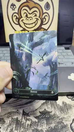 Forest (0371) Foil (Borderless) Edge of Eternities Near Mint US Seller - Image 2