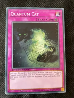 Quantum Cat - Speed Duel - SBCB-EN200 - Common - 1st Edition - NM - YuGiOh! - Image 1