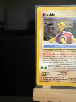 SHUCKLE - 51/64 Neo Revelation - Common Regular Card - Pokemon TCG Card - Image 2