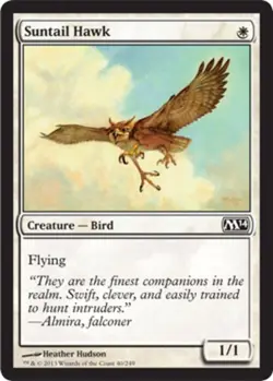 Suntail Hawk - Magic 2014 (M14) #40/249 MTG Magic The Gathering - Image 1