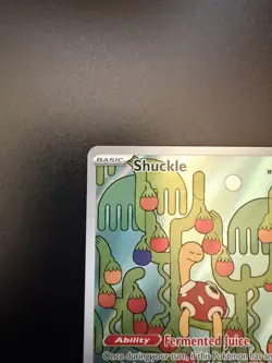 Shuckle 136/132 - ME01: Mega Evolution Pokemon Illustration Rare Holo - Image 2