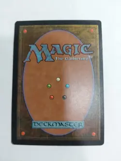 MTG magic cards 1x Pygmy Hippo Visions LP/NM, English - Image 2