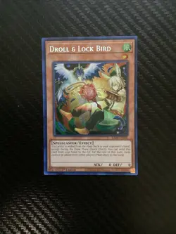 Yu-Gi-Oh TCG #RA02-EN006 Droll & Lock Bird (Alternate Art) 1st Ed Secret Rare NM - Image 1