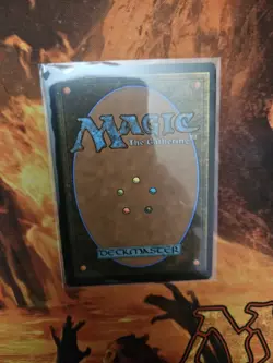 Wakka, Devoted Guardian (Extended Art) -Foil Near Mint MTG - Image 2