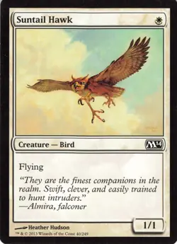 Suntail Hawk MTG Core Set 2014 (M14) #40 Creature Bird Magic Card - Image 1