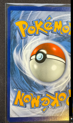 Charizard VSTAR SWSH262 SWSH: Sword & Shield Promo Cards Holo Pokemon Card (#1) - Image 4
