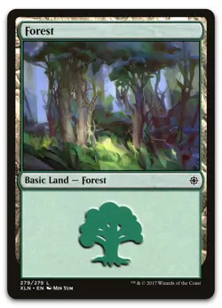 Forest (279) #279 (NM) Ixalan XLN Magic MTG - Image 1