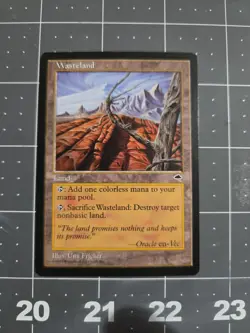 Wasteland Tempest Land Near Mint - Image 1