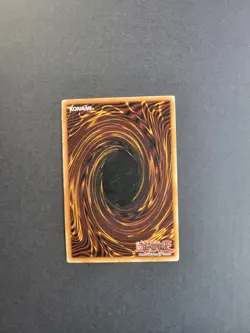 Red-Eyes Darkness Dragon SD1-EN001 Yu-Gi-Oh TCG Structure Deck Dragons Roar Holo - Image 4