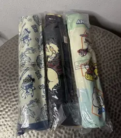 Pokemon World Championships 2025 Anaheim Set Of 3 Playmat & Playmat Bag In Hand - Image 2