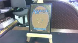 deflecting swat mtg - Image 2