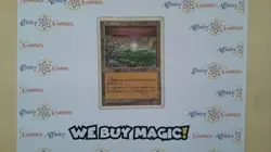 MTG | Brushland | 5th Edition | Regular | Heavily Played | English - Image 1