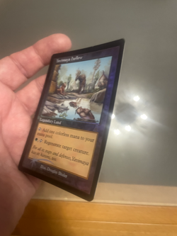 Yavimaya Hollow X1 Mtg Urza’s Destiny Nm Foil - Image 5