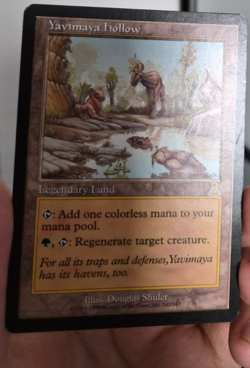 Yavimaya Hollow -- MTG (SP Quality) - Urza's Destiny - See pics/scans! - Image 3