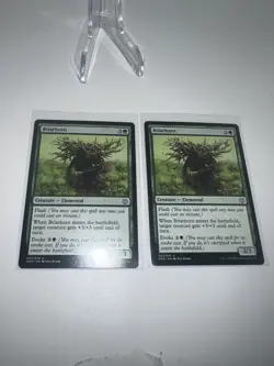 Briarhorn x2 - Duel Decks: Nissa vs Ob Nixilis - NM-Mint, English - Duel Decks: - Image 1