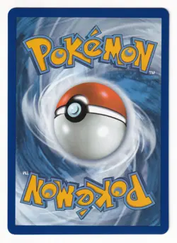 Lances Charizard V SWSH133 Regular Sized Black Star Promo Pokemon Card LP-NM - Image 2