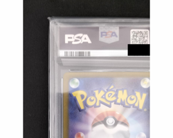 Pokemon Card Charizard ex SAR 201/165 PSA10 Japanese Pokemon TCG - Image 3
