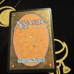MTG Plains (285), NM-Mint, English Shadowmoor - Image 3