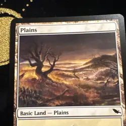 Plains (283) #283 (Foil) (MP) Shadowmoor SHM Magic MTG - Image 4