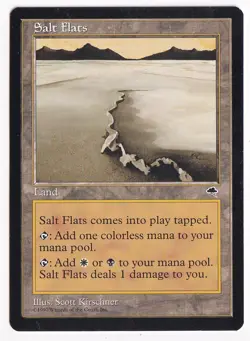 MTG Salt Flats NM- Tempest Magic the Gathering ~ Free Shipping ~ - Image 1