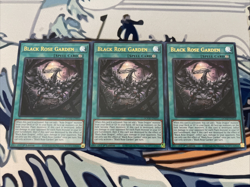 Yugioh Black Rose Garden x3 Ultra Rare DOOD-EN055 Near Mint - Image 1