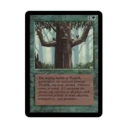 WOTC MtG Alpha Ironroot Treefolk (C) EX - Image 1