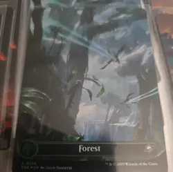 MTG Edge of Eternities EOE BORDERLESS FOIL x50 Full Art Set of 10 each NM - Image 5