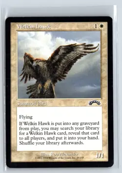 (5X) Welkin Hawk Exodus Common - MTG Magic the Gathering Card - Image 1