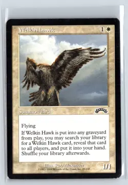 (5X) Welkin Hawk Exodus Common - MTG Magic the Gathering Card - Image 3