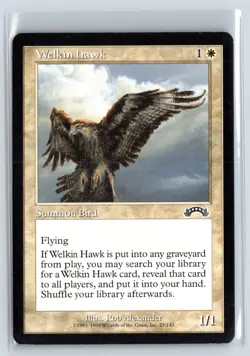 (5X) Welkin Hawk Exodus Common - MTG Magic the Gathering Card - Image 5