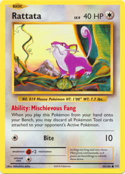 Rattata 66/108 XY Evolutions Pokemon TCG Common - Image 1