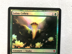 Mtg Carte Magic Zendikar Lotus Cobra FOIL NM/LP - Image 2