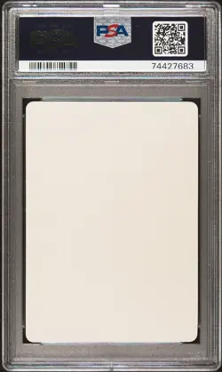 2020 POKEMON JAPANESE S PROMO STICKER LET'S HAVE FUN! SPRING, POKEKA PSA 6 - Image 2