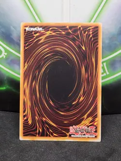 Yugioh Dark Armed Dragon SDDC-EN012 Common 1st Edition NM - Image 2