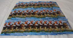 Magic The Gathering Bloomburrow Play Booster | MTG Sealed 36 Packs from Box - Image 5