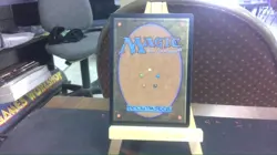 sylvan safekeeper mtg - Image 2