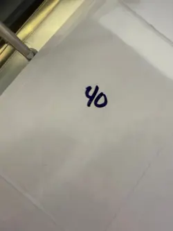 Magic The Gathering: Beta Green Ward MTG Beta - Image 3