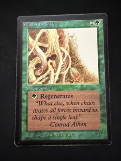 Magic The Gathering: Beta Wall of Brambles MTG Beta - Image 1