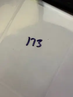 Magic The Gathering: Beta Wall of Brambles MTG Beta - Image 3