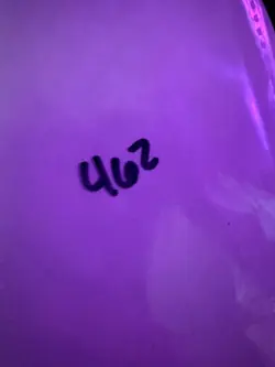 Magic the Gathering: Beta Wall of Brambles MTG Beta - Image 3