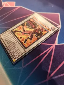 Red Nova Dragon CT07-EN005 2010 Collectors Tins Limited Edition - Image 3